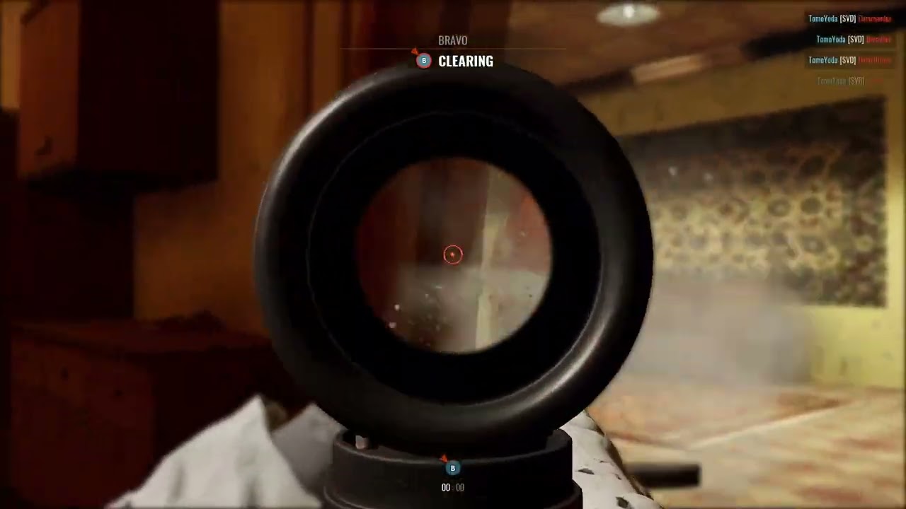 Insurgency & Starcraft 2, co-op, private server, team Dedeki