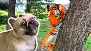 Tiger Prank On My Dogs | FUNNY FAIL