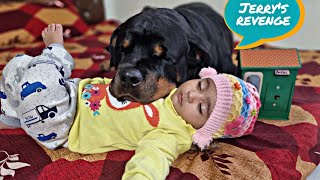 baby and dog fight | fully trained dog | funny dog videos |