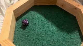 Kaitlyn Rolls Dice #4661