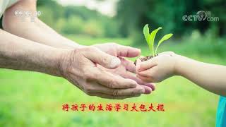如何帮助青少年打破依赖 培养责任意识？《百家讲坛》20210322