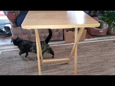 Tv Dinner Tray