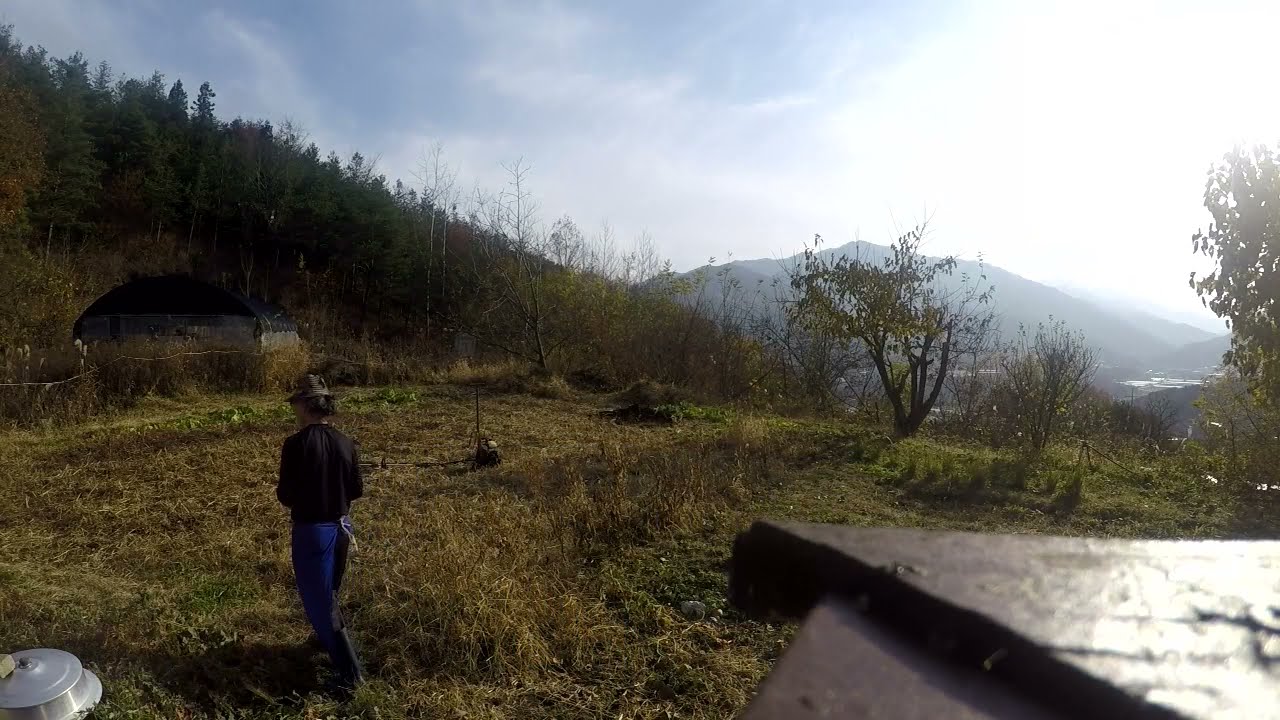 거름만들기 gathering weeds to make a compost by pitchfork