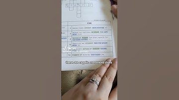 Cryptic crosswords for beginners - hidden word clues