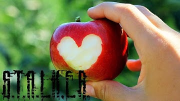 в ЯБЛОЧКО - STALKER Anomaly Redux