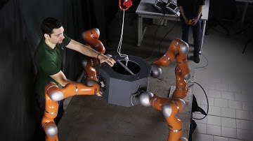 Modeling & Control of Multi-Arm and Multi-Leg Robots