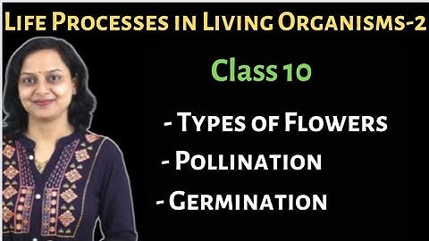 🔴 Life Processes In Living Organisms -2 | Class 10 | Maharashtra State Board
