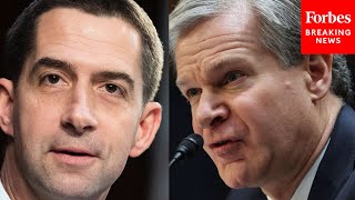 'These Go Beyond Threats': Tom Cotton Grills FBI's Wray About Attacks On AIPAC President