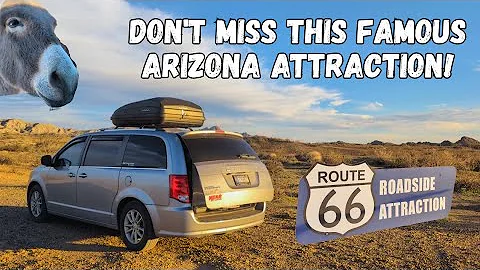 Wild Burros in a Route 66 Ghost Town?! You HAVE to Visit Oatman, AZ | Female Van Life Travel