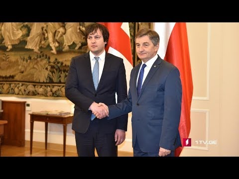 ირაკლი კობახიძე პოლონეთში შეხვედრებს მართავს
