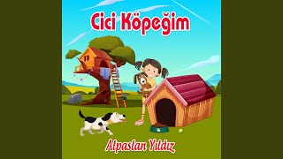 Arı Vız Vız — Alpaslan Yıldız kapak görseli