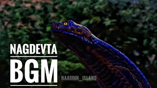 Naagin 6 | NagDevta Bgm | Full Version 🧿