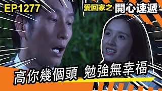 愛．回家之開心速遞 | 第1277集精華 | 高你幾個頭 勉強無幸福