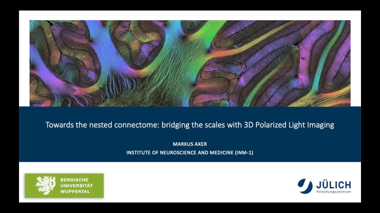 BrainMap: Towards the nested connectome: bridging the scales with 3D Polarized Light Imaging