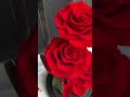 Premium ewige rote Rosen im Glas 🌹 3 langlebige Rosen in Glaskuppel mit Geschenkbox