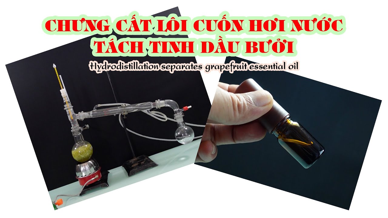 Hydrodistillation extracts grapefruit essential oil