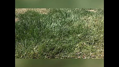 Post Malone Wow (Clean) (Lyrics)