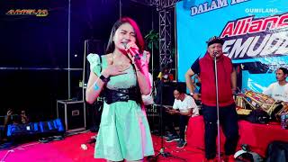 Download Lagu AMELIA MUSIC - TENTANG RASA MONIC MONICA - SEDEKAH BUMI 2023 ALLIANCE PAMUDA MECON PUCAKWANGI PATI MP3