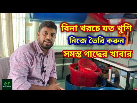 ভিডিও: ধারক বাগান করার মূল বিষয়গুলি