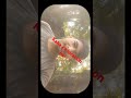 #pleasesaportme #minivlog #mychannel