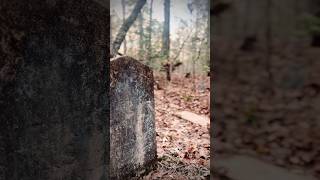 We Found a Forgotten Cemetery of the Enslaved—Over 500 Graves Hidden for Generations