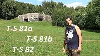 Levé křídlo dělostřelecké tvrze Stachelberg T-S 81a, T-S 81b, T-S 82