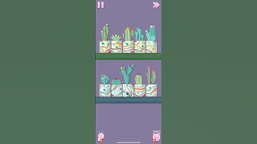Perfect Tidy – Level 111 Walkthrough | Cactus Pot Matching 🌵🪴