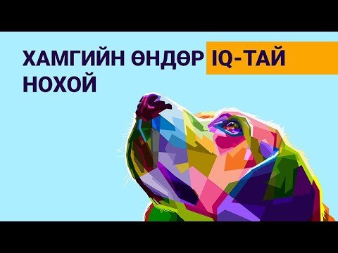 Видео: Бухыг яаж өсгөх вэ