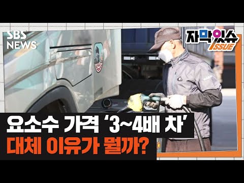 요소수 주유소마다 가격 &#39;천차만별&#39;…대체 이유가 뭐길래? (자막있슈) / SBS