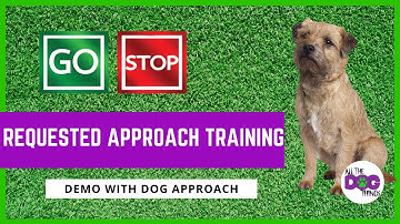 Requested Approach DEMO | Dog | Control Unleashed