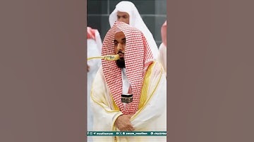 تلاوة خاشعة من سورة القصص – فضيلة الشيخ د. عبدالله عواد الجهني | صلاة العشاء 15 ربيع الأول 1447هـ