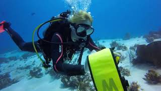 Divemaster in Training practicing how to deploy the DSMB