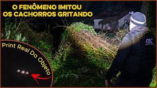 MEDO!!! AQUILO IMITAVA CACHORROS NA MATA... E DO NADA UM GRANDE OVNI LUMINOSO NOS DEU UM BAITA SUSTO