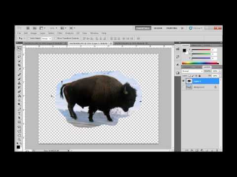 Working with Layers in Photoshop CS - Part  Beginners