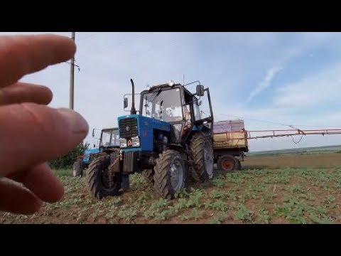 ЕВРОЛАЙТНИНГ против заразихи