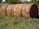 Agony of the Hay Bales 2