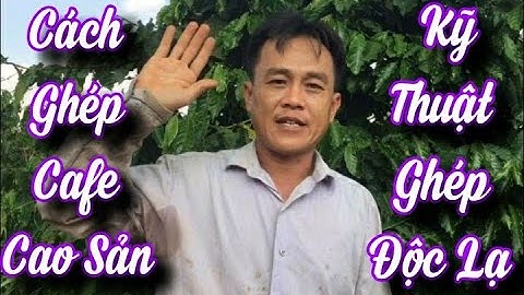 Cách Ghép Cafe Cao Sản I Kỹ Thuật Ghép Độc Lạ - Hai Móm Official