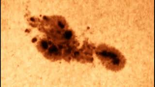 2022 05 20  Sole   macchia solare AR3014