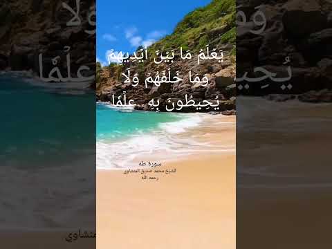 ي ع ل م م ا ب ي ن أ ي د يه م و م ا خ ل ف ه م و ل ا ي ح يط ون ب ه ۦ ع ل م ا