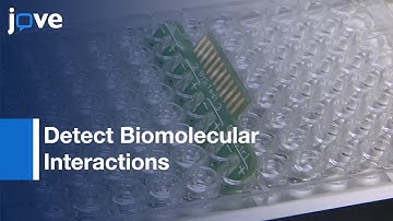 Use-β-lactamase-Based Conductimetric Biosensor Assay: Biomolecular Interactions l Protocol Preview
