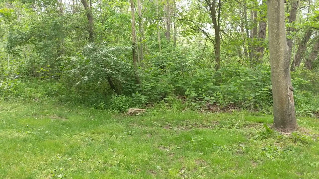 Video of Rivers Edge Camping Area (Bridgeport Quarry Trailhead), OH