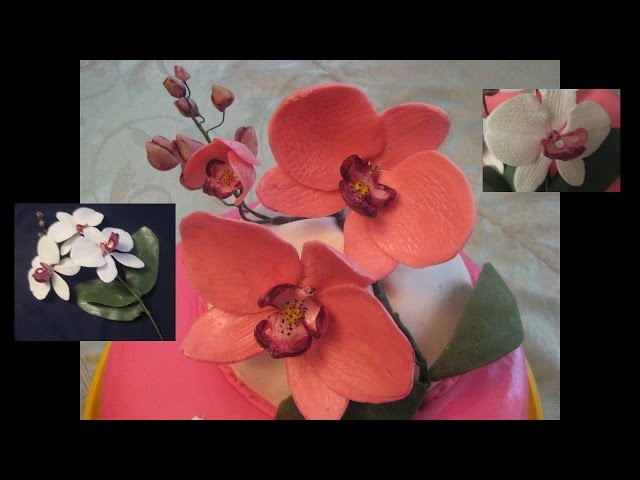 Прекрасные орхидеи из сахарной мастики: правила изготовления