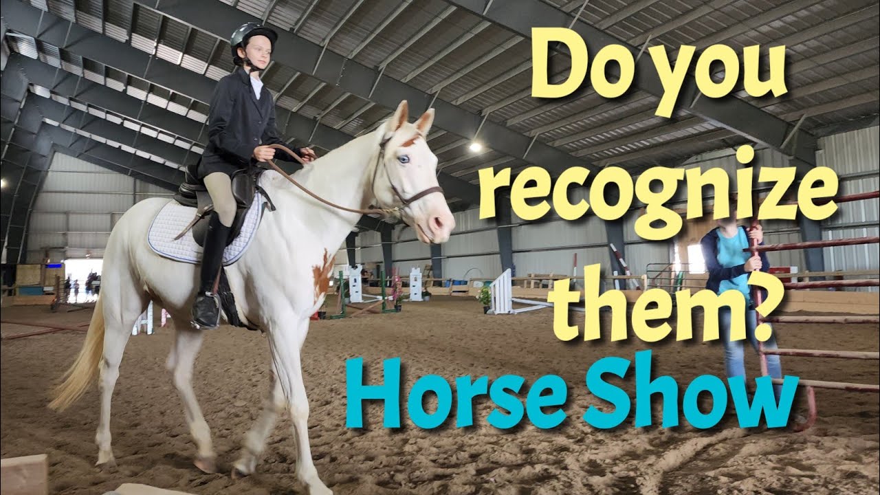 Do you remember all these horses? Pumpkin, Asha, Elon, Pentland at the show