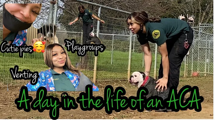 A DAY in my life| working at an animal shelter 🦮 pt.1