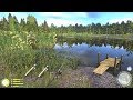 Русская рыбалка 4 - озеро Старый Острог - Язь на зерна пшеницы