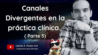 CANALES DIVERGENTES EN LA PRACTICA CLINICA ( PARTE 5/5) | Acupuntura para párvulos.