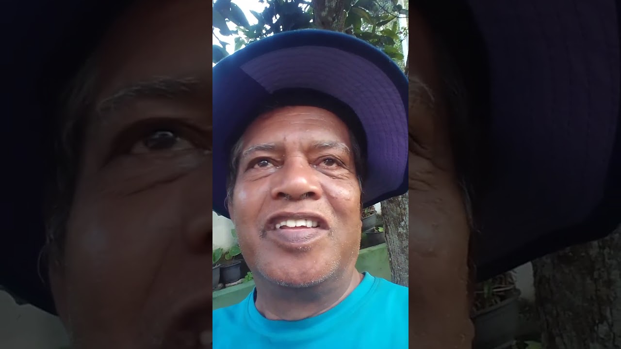 495 - කැපවීම සහ ප්‍රතිපදාව තුළිනුයි නිවන් සාක්ෂාත් කර ගත හැක්කේ.