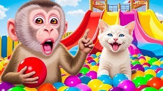 الليلة الأولى | ليالي الامتحان الأخيرة| ثالثة ثانوي ٢٠٢٥ مع أ. محمد صلاح