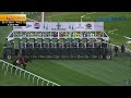 2024 albert m stall memorial stakes  full race replay