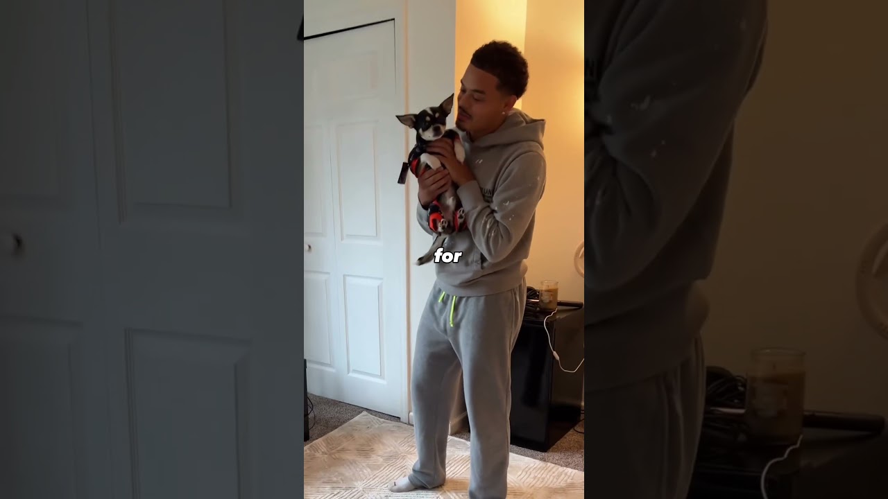 Watch Teaching dog to handstand #dog #pets #shorts on YouTube Watch Teaching dog to handstand #dog #pets #shorts on YouTube